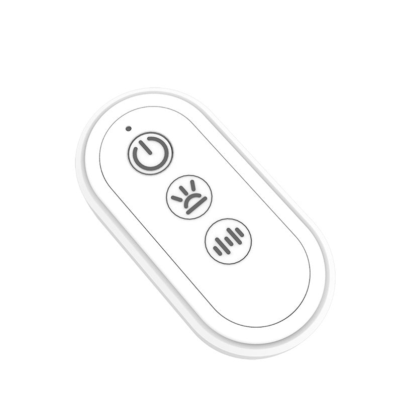 Remote Controlling Stainless Steel Heart Lighting Anal Plug